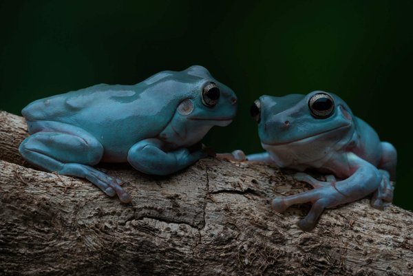 How Can You Wear a Graphic T-Shirt Under a Blazer for a Creative Industry Meeting?